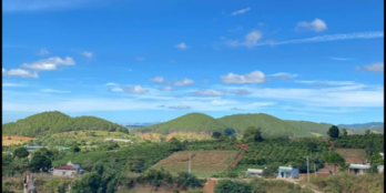 Lô đất chính chủ cần bán có diện tích 12x43