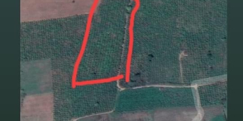 Bán lô đất bằng phăng diện tích 7200m2 giá 1tỷ/ sào