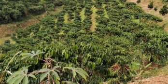 Đất tặng nhà khu dân cư kinh doanh