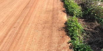 Chính chủ gửi bán  1 lô đất cực đẹp Với diện tích 12465m2