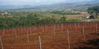 Chủ cần ra đất siêu vip tuyệt đẹp