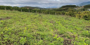 Đất thế dương sẵn điện nước đầy tiện ích