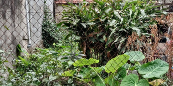 Bán đất vàng Phúc Lợi, gần đường oto, 54m, mặt tiền 5.2, giá hạt dẻ 2,1 tỷ