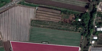 Gần 10 công ruộng, có 500mv thổ cư