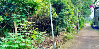 Ra lô đất 352m2 , ấp 5 xã An Phước , huyện Long Thành , bên hong thung lũng xanh