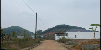 Lô đất cần bán nhanh chính chủ với Diện tích 8,1x28 . Chiều sâu lý tưởng