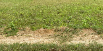 Bán nhanh giá rẻ  1.838m2 BHK Mộ Đức, đất sạch đường rộng uy tín