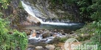 MẢnh đất Mộc Châu khai thác nông nghiệp, quần thể homestay suối lớn chảy quanh