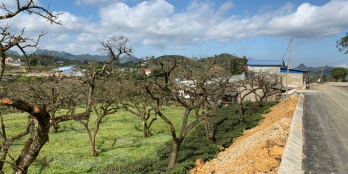 Bán gấp lô đất đón sóng trung tâm du lịch quốc gia Mộc Châu, 580m2, MT 24m.