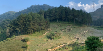 Bán gấp lô đất nghỉ dưỡng Mộc Châu, gần đầu Cao Tốc Hòa Bình - Mộc Châu, 4200m2,