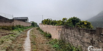 Bán đất TK Hoa Ban – Mộc Châu DT 400m2