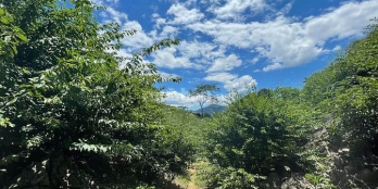 Bán hơn 4000m2 Mộc Châu đón đầu quy hoạch khu đô thị Chiềng Sơn