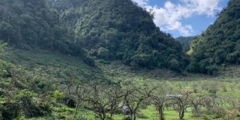 Bán 5ha đất thị trấn Nông Trường Mộc Châu, Cách đường mở rộng 31m chỉ 400m.