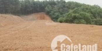 1995m2 có 1000m2 TC An Phú Mỹ Đức Hà Nội giá 1,5 tr /1m2 ạ