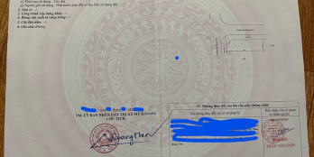 Cần thanh khoản lô góc siêu vip khu đấu giá Cẩm Sơn