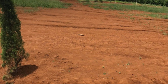 Lô đất có Diện tích sổ 56m diện tích sử dụng 63m