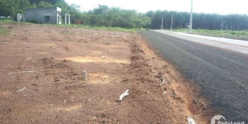 Bán đất dịch vụ thương mại nhà xưởng có sẵn 2000m