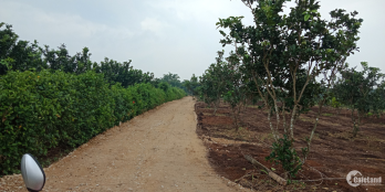 Đất thổ cư lô góc, 67.3m, đường xe tải vào tận nhà, Giá tốt cho nhà đầu tư