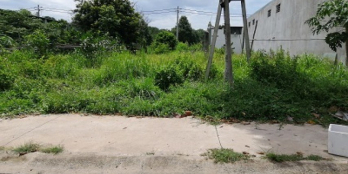 Đất có Diện tích 190m2, mặt tiền 15.9m. Chia 3 thoải mái Vị trí đất cực kỳ thoán