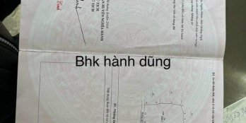 Chủ cần bán 4.000m2 đất trồng cây lâu năm ở Nghĩa Hành hot quá chời