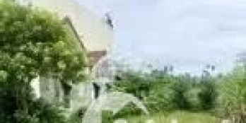 Bán 1.500m2 đất nghĩa hành cách chợ chùa 4km khu vực đi lại tiện lợi nhiều nơi