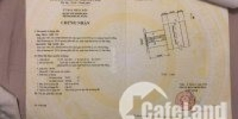 bán gấp lô đất tặng nhà tuyến phố đi bộ đẹp nhất Phố Tây đường Trần Bạch Đằng