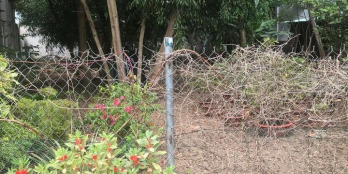 Chủ cần bán Lô đất Đại Phước Dt 250m