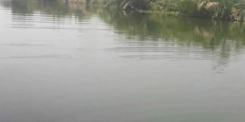 bán đất phú đông mặt tiền sông lớn , điện tích 1000m , giá bán 1 tỷ 750 triệu