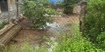 Em có lô đất đep Ninh Đông sát Ninh Ănt tiền Liên thôn 7m