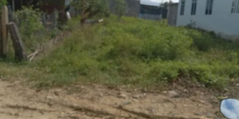 Kẹt tiền xoay sở dịp tết nên cần bán gấp lô đất Phước Lâm Ninh Xuân