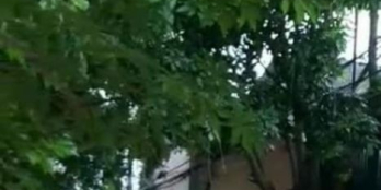 Đất đường Hà Huy Tập phường Phước Mỹ, Tp. PRTC