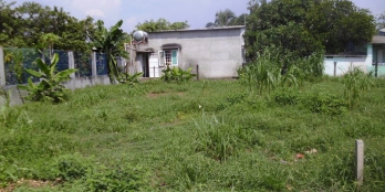 Đất bao ở ổn định, bao xây nhà thoải mái