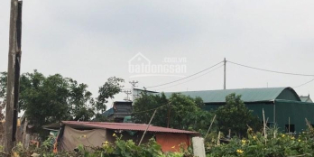 Với diện tích 613.5m2 đất sổ đổ 100%.Mảnh đất sạch không lỗi phong thuỷ.