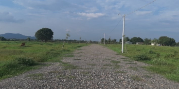 Bán Mảnh đất Diện tích 508m2 tại Thôn Phù Oanh