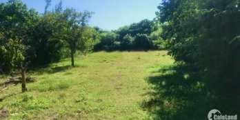 Chính chủ cần bán lô 1 mặt tiền Tôn Đức Thắng. Đất cao bằng đường. 2 mặt tiền.