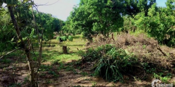 Chính chủ cần bán gấp lô đất 2 mặt tiền đường Tôn Đức Thắng