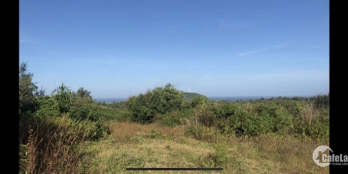 Bán Đất Đảo Phú Quý Sổ Hồng Riêng Giá Chỉ 485 Triệu Sổ Hồng Riêng