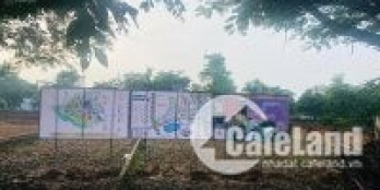 Tái định cư Phú Cát, hạ tầng đồng bộ đường 10m, vỉa hè 3 m, giá chỉ 17,5 triệu/m