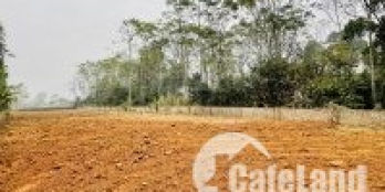 Chính chủ cần bán 1353m2 tại khu công nghệ cao Hòa Lạc giá rẻ