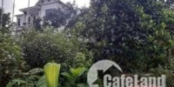 Chính chủ cần chuyển nhượng đất giá rẻ tại Long Phú, Hòa Thạch, Quốc Oai, Hà Nội