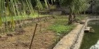 Cần bán mảnh đất tại Hoà Thạch, có nhà có ao có bể bơi