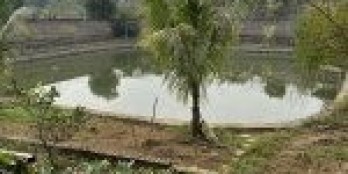 Đất dựng xưởng tại Đông Yên Quốc Oai Hà Nội