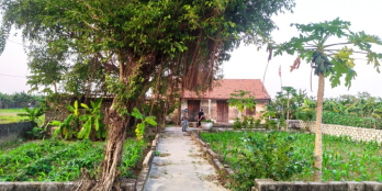 Ra lò siêu phẩm thôn Phú Nghĩa, #Quỳnh_Nghĩa #Quỳnh_Lưu       12×35.49