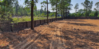 Bán đất mặt đường 14, Minh Phú, Sóc Sơn, Hà Nội. 11 triệu / m2