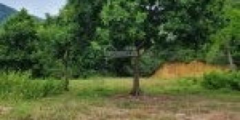 BÁN ĐẤT NGHỈ DƯỠNG, TRANG TRẠI KHU SINH THÁI HỒ ĐỒNG ĐÒ, SÓC SƠN