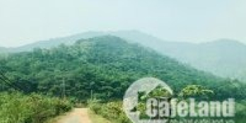 2 LÔ ĐẤT HÀNG VIP, TẠI THÔN LÂM TRƯỜNG, XÃ MINH PHÚ, SÓC SƠN, HÀ NỘI