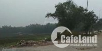 Đất lô góc đường đôi TĐC Dược Hạ, Tiên Dược, Sóc Sơn