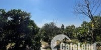 Bán mảnh đất khu Hồ Ban Tiện Sóc Sơn Hà Nội giá cực rẻ trong tháng 12.2021