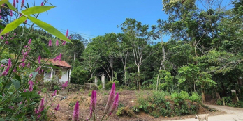 Chính chủ bán lô NO10/14 view vườn hoa quá đẹp, kinh doanh quá ok, giá 1,25 tỷ