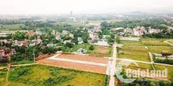 Đất Nhân Lý, Xuân Sơn, Sơn Tây, ngõ 155 đường 413